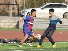 新葡京博彩官网-包含磅礴的足球大战现场气氛热烈沸腾的词条